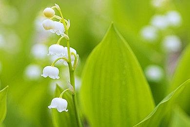 《魔咒之地》支持4K和光追 具有DualSense特性